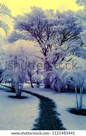 Pathway in the white garden from near infrared style by IR mode.garden in paradise concept