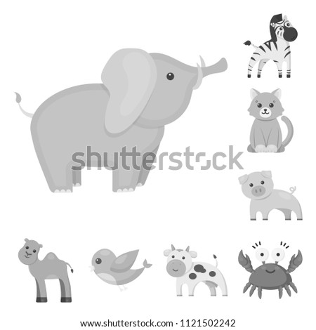 An unrealistic monochrome animal icons in set collection for design. Toy animals vector symbol stock web illustration.