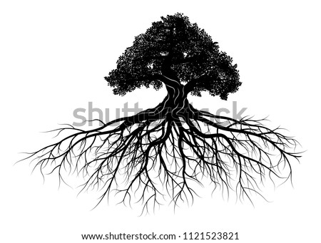 tree silhouette on white background. Vector illustration. Royalty-Free Stock Photo #1121523821
