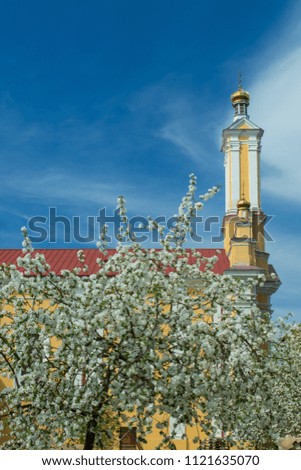 White flowers branch tree and church on blue sky background