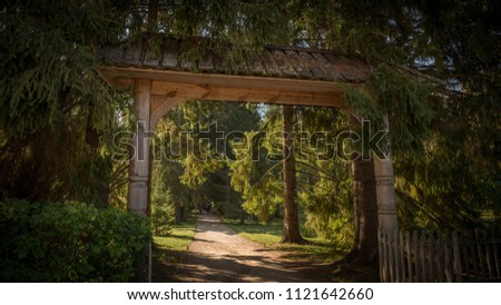 Old wooden arch in a pine grove
