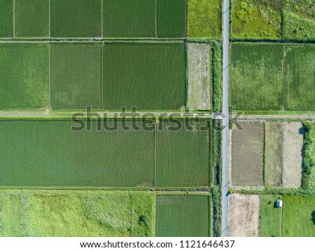 Aerial photograph of paddy field in Japan.
A beautiful landscape.