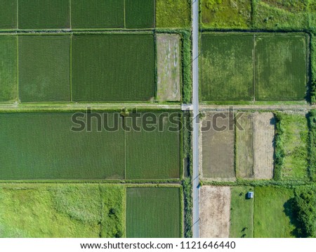 Aerial photograph of paddy field in Japan.
A beautiful landscape.