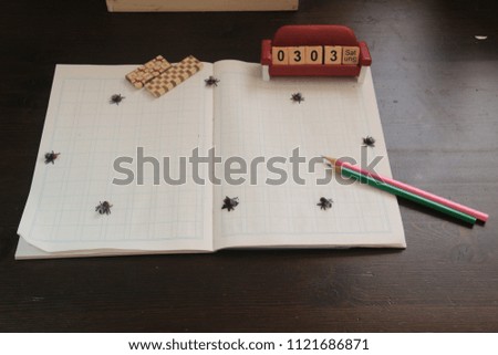 A notebook and flies on the desk.