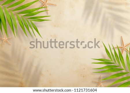 Top view of palm leaves with shade and starfish on beach sand background. Flat lay. Travel concept, empty space for text