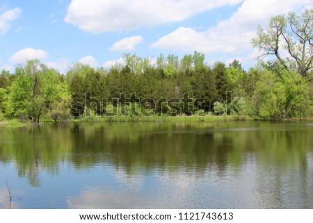 The trees on the lake shore reflecting off of the lake water on a sunny day.