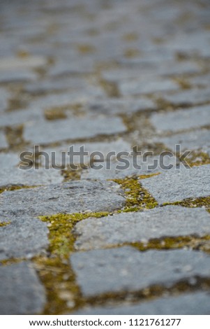 
pavement of ancient stone
