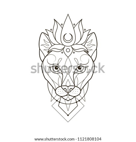 Lioness head on white background. Ornamental wild cat. Graphic sketch for tattoo, poster, clothes, t-shirt design, coloring book.