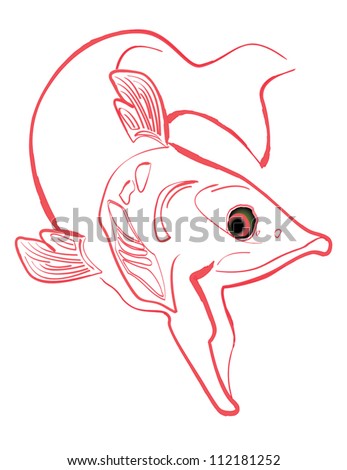  Salmon, swimming, line drawing illustration, isolated on white background. EPS8 compatible.