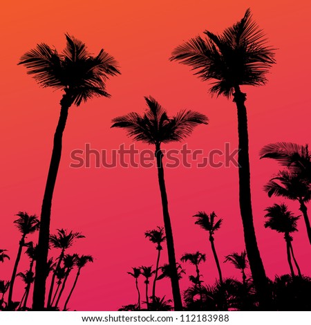 Tropical coconut palm tree silhouettes illustration over a purple sunset sky
