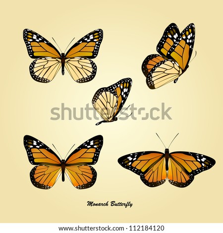 vector of monarch butterfly