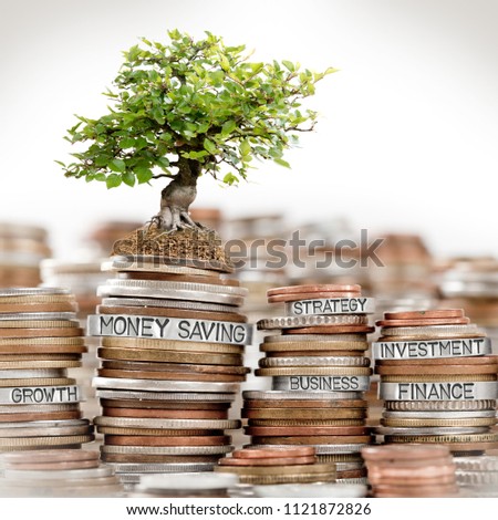 Photo of coin rows and tree with MONEY SAVING concept related words imprinted on metal surface isolated on white