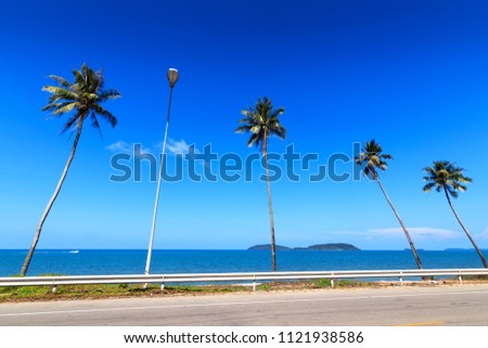 palm trees and amazing cloudy blue sky at tropical beach island. Coconut Tree with Beautiful and romantic beach in Chumphon , Thailand. Koh Tao popular tourist destination in Thailand.