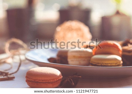 Colorful pasta macaroons on plate in sunlight close-up shallow depth of field toned image