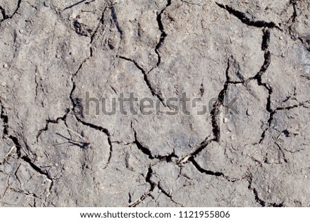 Cracks show in dried mud.