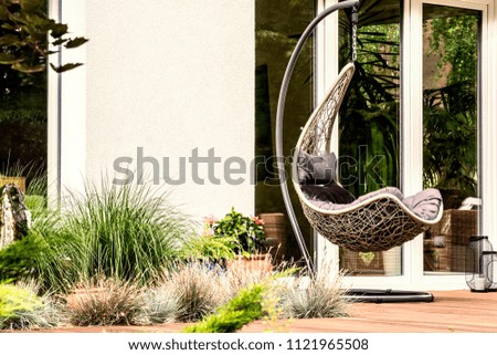 Garden plants next to hanging chair on terrace of house during summer. Real photo