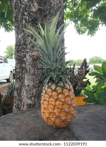 Yellow pineapple is placed on a gray stump.