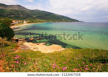 Beautiful Greek bay with green lagoon and flowers (carpobrotus), Thassos island, Greece 