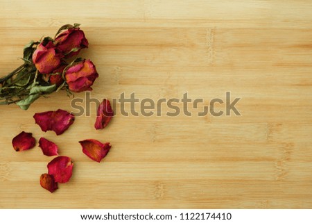 Bamboo background and dry rose background.