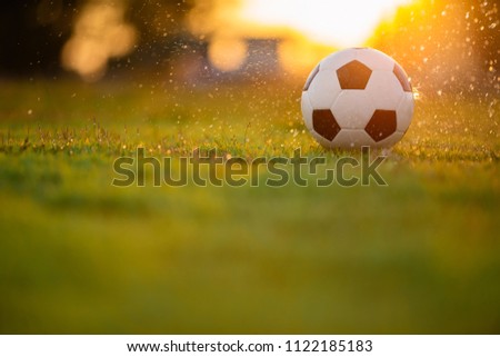 A ball on the green grass field for soccer football game under the sunset ray light and rain. Picture with space area.