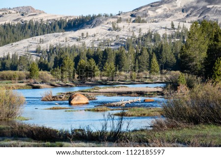 A photo of the Tuolumne River in the Tuolumne Meadows area in the high country area of Yosemite National Park.