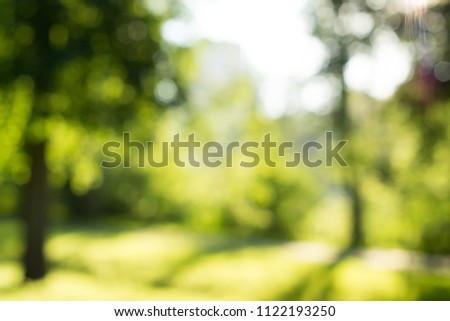 Blured backdrop. Sunny summer park with trees, green grass and beautiful sun light