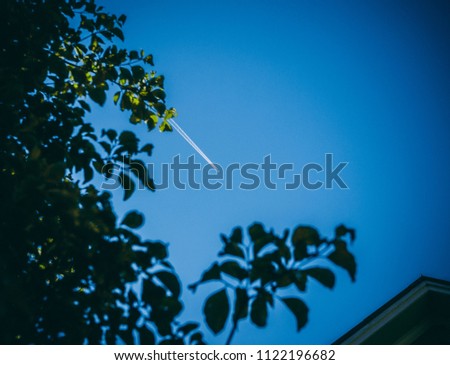 Small plane flying in sky with tree leafs foreground