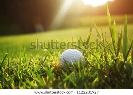 Blurred golf ball in beautiful golf course with sunset. Golf ball close up in golf coures at Thailand