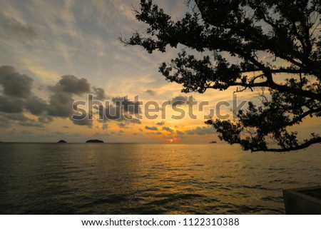 View of sunset with a tree at beach. Thailand