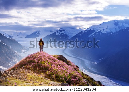 Hike in  Alaska at summertime Royalty-Free Stock Photo #1122341234