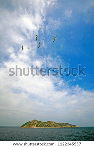 Island, seagulls, blue sea and wind, Greece