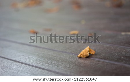 dry leaf on rusty wood table background