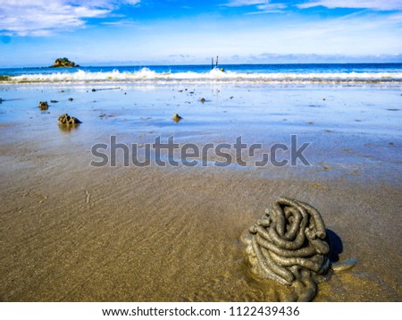 Close up Lugworm casts with idyllic ocean and endless horizon on the beach ,Summer concept
