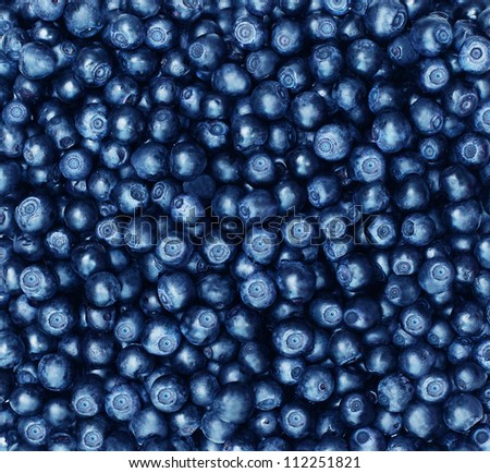 Blueberries,  color background