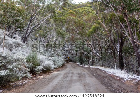 Snow collected on the side of the track leading up to Lithgows Hassans Wall lookout in New South Wales Australia on 17th June 2018