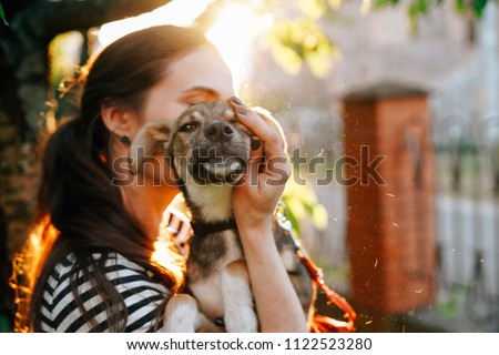 Volunteer holding homeless dog in beautiful sunset light. Royalty-Free Stock Photo #1122523280