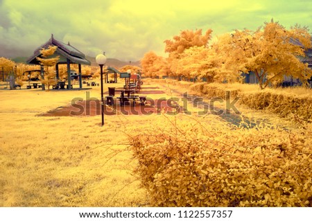 Yellow trees and grass in park from near infared style by IR mode.Paradise concept.