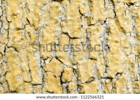 Beautiful old bark background made of natural