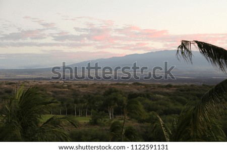 Beautiful sunset on Hawaiian beach, sea, palms, waves - Big Island