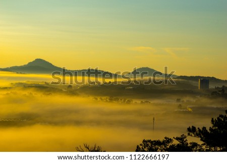 Landscape Dalat, sun, fog and the pine hill
