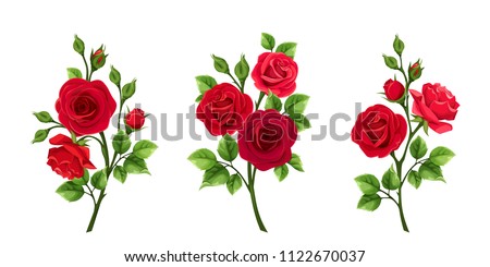 Vector set of branches of red roses isolated on a white background.