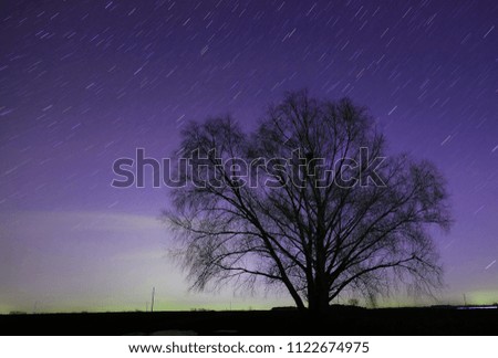 big tree at night against the background of star trails