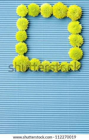 Flowers and blue background