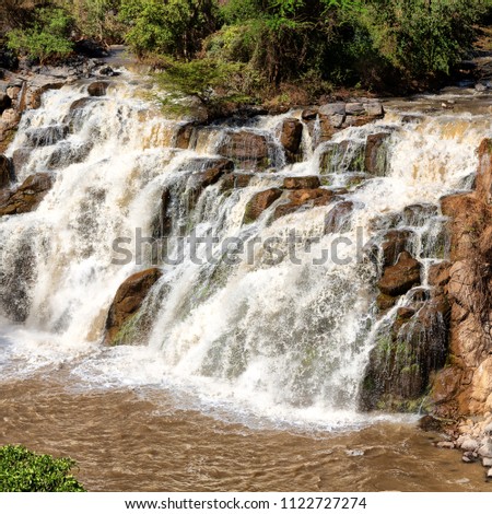 in  ethiopia africa the  awash national park  and the falls nature wild
