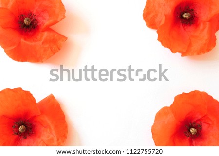 Borders and Frames Made out of Poppies on White Background