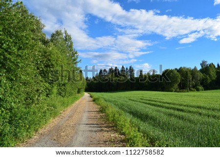 Sunny season of open grass field and hiking trail in Kongsvinger, Norway