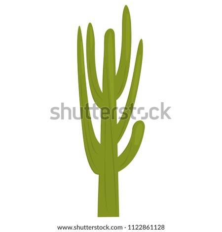 Cactus color icon for web and mobile design. Flat illustration isolate on a white background.