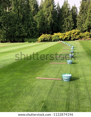 Several full buckets of golf balls lined up on a driving range of nicely manicured green grass on a summer day with bushes and evergreen trees in the background. No golfers or clubs in the picture.