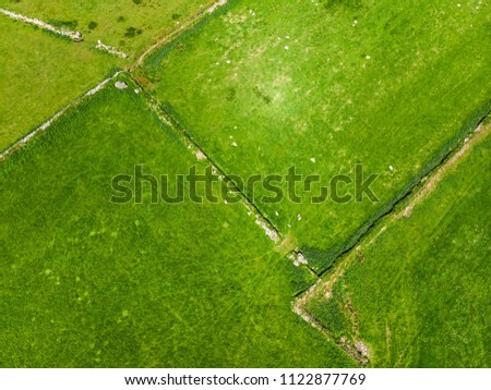Aerial view of endless lush pastures and farmlands of Ireland. Beautiful Irish countryside with emerald green fields and meadows. Rural landscape.