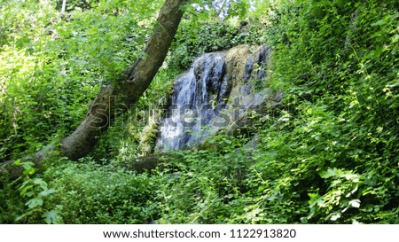flowing waterfall in green vegetation